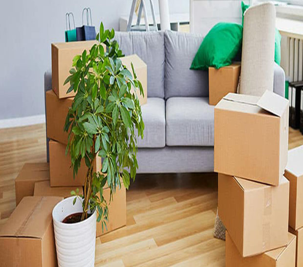 Office Shifting Services